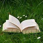 Memorama en línea para adultos y personas de la tercera edad para formar pares de imágenes: Libros