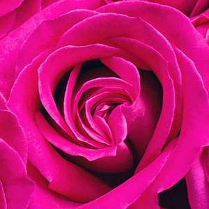 Memoria · Facil · Colores