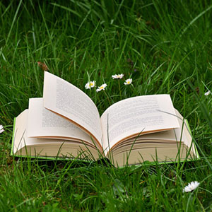 Memoria · Facil · Libros