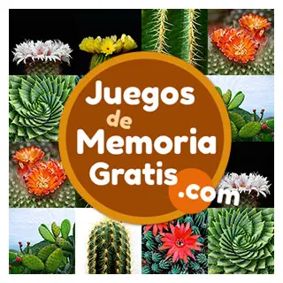 Memotest en lÃnea para adultos. Juego de memoria gratis: Cactus
