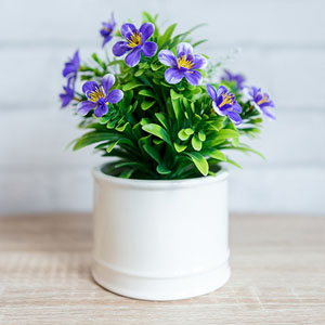 Memoria · Medio · Macetas