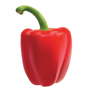 Memoria · Medio · Verduras